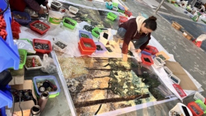 Mosaïque murale artisanale <span class=keywords><strong>en</strong></span> pierre naturelle et verre, motif arbres, pour la décoration de villas et de maisons - Product Image 2