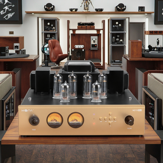 High - Fidelity M210-MU 10W Stereo Home Amplifier - 5.0 Input, Crystal Clear Sound