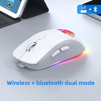 Souris sans fil rechargeable BT à double mode, 2400 DPI, avec motif de patte de chat de dessin animé, multicolore, lumineuse, silencieuse, 2.4G