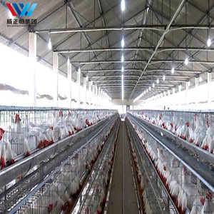 Progettazione su misura delle case di gallina della struttura d'acciaio per le case di gallina moderne della fattoria e gli allevamenti di pollo della griglia su grande <span class=keywords><strong>scala</strong></span> - Product Image 3