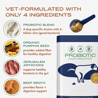 Poudre de Probiotiques pour Chiens – Haute Teneur en Protéines – Toutes Races – Compléments Santé – Marque Blanche – Formule Spéciale pour Soutenir la Santé