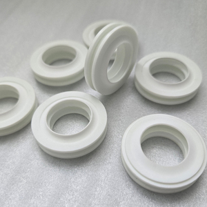 Kép chính PTFE môi con dấu dầu với excluder cho niêm phong các ứng dụng - Product Image 2