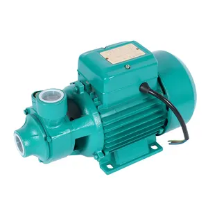 Lonkey Farm Agriculture Use 0.5hp Electric Water Pump