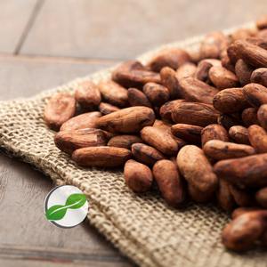 Carefully selected indonesian cacao <b>beans</b> deliver authentic taste and smooth texture for premium chocolate <b>products</b> - Product Image 5