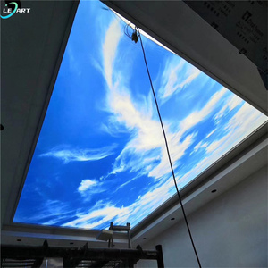Fábricas chinas PVC para pared paneles de PVC 3D arte decorativo nube estiramiento techo pared mural - Product Image 1
