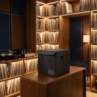 Caixa de Armazenamento de Discos de Vinil Dobrável, Organizador de Álbuns LP em Tecido Oxford com Tampa, Caixa Empilhável para Coleção de Música