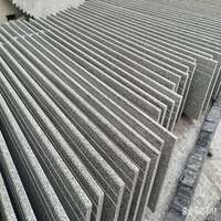 Peldaños de Granito Blanco Sésamo Pulido Moderno G303 de Eastern Stone China con 5 Años de Garantía para Proyectos en Exteriores