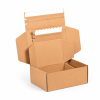 Boîte d'expédition de luxe personnalisée imprimée, en carton ondulé auto-adhésif avec bande déchirable, impression esthétique intérieure, pour produits de beauté
