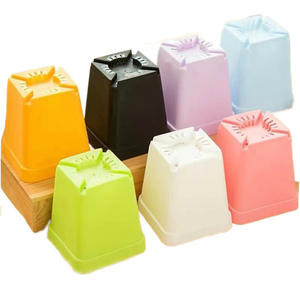 Suministro de fábrica, maceta pequeña cuadrada negra para vivero, plástico grueso, carnoso, Color caramelo, hogar cuadrado, ecológico, venta al por mayor, planta de flores - Product Image 5