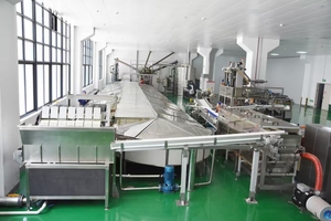 Strong Bonding <b>Freezer</b> Adhesive for Damp and Frosty Packaging Surfaces - Product Image 2
