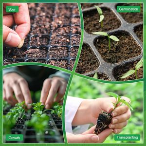 Bandejas de Cultivo de Plástico ABS Ecológicas de 200 Celdas con Cúpula de Humedad y Dos Ventilaciones para Germinación de Plántulas y Siembra de Semillas - Product Image 4