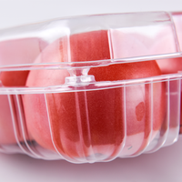 Supermarkt versproducten verpakkingen vlees etensschalen containers blister plastic PET clamshell fruit groente verpakkingen trays