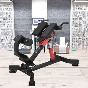 Chaise romaine à 45 degrés à montage facile, banc d'hyper-extension, équipement d'entraînement de gym à installation rapide, vente en gros directe d'usine, faible MOQ - Product Image 4