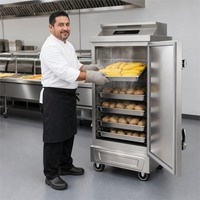 Armoire de cuisson à vapeur au gaz pour riz, en acier inoxydable 304, grande capacité, équipement de cuisine pour hôtels, restaurants et buffets