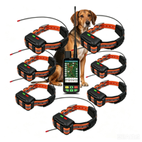 Collier de suivi GPS de qualité médicale ICD : Enregistrement des événements cardiaques + Exportation des données cliniques - Partenariats ODM pour le secteur de la santé ouverts (7 colliers)