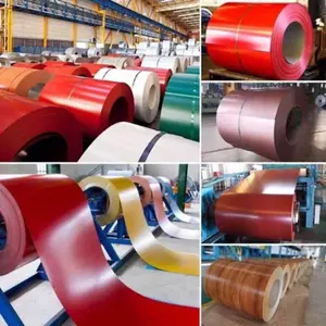 Bobines d'acier galvanisé prélaqué, norme ASTM, services de pliage et de découpe - Product Image 2