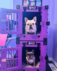 Jaula Portátil de Aleación de Aluminio para Perros, Jaula Plegable para Mascotas para Viajes en Coche, <span class=keywords><strong>Casa</strong></span> Plegable para <span class=keywords><strong>Animales</strong></span> con Botón para <span class=keywords><strong>Animales</strong></span> Pequeños - Product Image 6