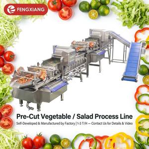 Laveuse de légumes commerciale à double vortex 1-3t/h - Product Image 1