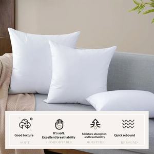 Toptan atmak yastıklar ekler pamuk yastık iç yatak ve kanepe kapalı dekoratif yastıklar - Product Image 3