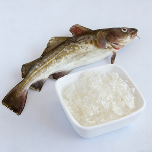 OEM/ODM Bulk Supply Cold Water Soluble Cod Skin Fish Gelatin Powder No Gel Strength High Viscosity Gelatin 3.5mpa.s 4.0mpa.s - Product Image 1