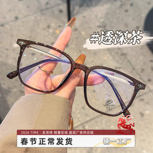 Monture de lunettes rectangulaire style coréen 85011 pour femme, monture complète, protection anti-lumière bleue, verres acryliques marron Danyang - Product Image 4