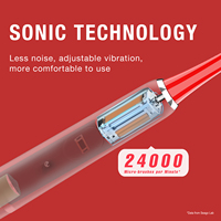 Brosse à dents électrique sonique mince personnalisée SEAGO SG-2007, alimentée par piles, 120 jours d'utilisation, avec minuteur de 2 minutes et indice IPX7