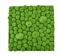Haute qualité flocage simulation mousse fond plante mur mousse artificielle plante verte pour micro-paysage décoratif