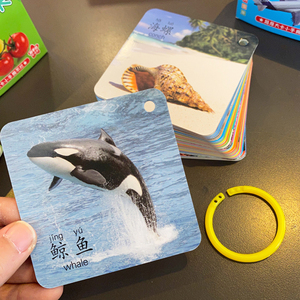 2023 New Bé Trẻ Em Học Tập Trung Quốc Tiếng Anh Động Vật Flashcards Trò Chơi Giáo Dục Cho Trẻ Em Đồ Chơi - Product Image 2