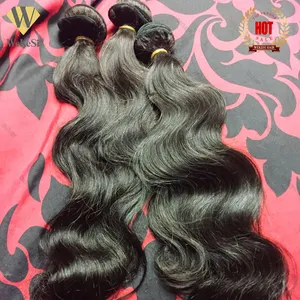 12A Raw Indian Hair Vendor Wigs Human Hair Lace Front Raw Vietnamese Hair Glueless 360 Full Closure HD Lace Frontal Wigs