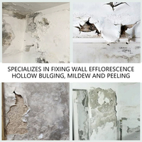 Pâte de traitement alcalin mural en gros directement du fabricant, peinture réparatrice anti-décapage et anti-humidité pour la réparation des murs domestiques