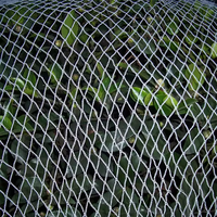 Filet anti-grêle HDPE Protéger les vergers Jardin Filet anti-grêle agricole Filet anti-oiseaux