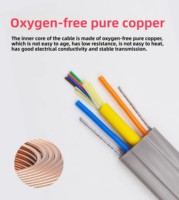 Cable de Fibra Óptica Plano para Elevador OM4 de 4 Núcleos, Cubierta de PVC LSZH, 2 Hilos de Acero Gi, Clasificación IP67, Bajo Voltaje, Cobre Libre de Oxígeno