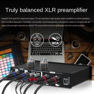 Preamplificador de tubo profesional Salida de entrada equilibrada Sistema de amplificador de potencia de <span class=keywords><strong>audio</strong></span> de grado audiófilo EQ multibanda - Product Image 2