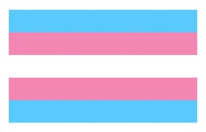 Vente en gros de drapeaux arc-en-ciel LGBT transgenres personnalisés en polyester 100% 3x5 pieds, drapeau de la fierté transgenre - Product Image 5