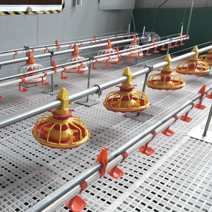 Sistema di Alimentazione Automatico per Allevamento di Polli da Carne per 50.000 Galline - Product Image 1