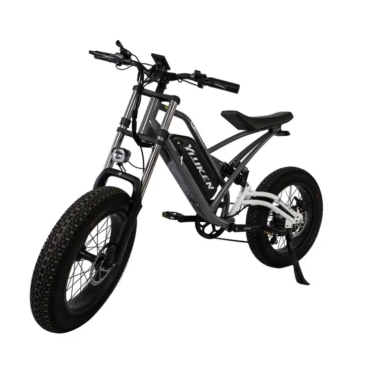 AMZN 레트로 빈티지 슈퍼 전기 하이브리드 자전거 73 지방 타이어 20 인치 1000W ebike 48V 13AH/20AH 장거리 전자 자전거