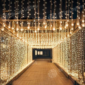 Guirnaldas de luces IP65 para caminos de parques y diseño de ambiente paisajístico - Product Image 6