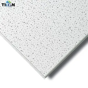 Wholesale dalle plafond For Domestic Or Commercial Use 