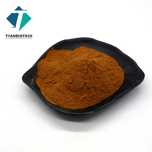 Водорастворимый экстракт гинкго билоба 10:1 в порошке - Product Image 1