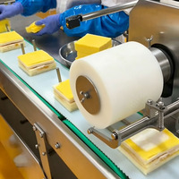 Ligne de production de sandwichs commerciaux pour boulangerie, usine, cuisine centrale avec système de trançage, de garnissage et d'assemblage sur convoyeur