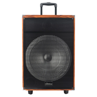 Système de haut-parleurs sans fil BT audio rétro en bois de 15 pouces avec subwoofer de grande puissance, haut-parleur trolley professionnel d'usine