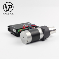 Forte puissance 120w acier inoxydable 316 Mini pompe à engrenages Portable automatique entraînement magnétique pompes à engrenages externes