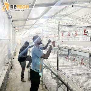 Kandang ayam Broiler, peralatan unggas kandang Broiler 4 tingkat otomatis dengan sistem panen tipe rantai - Product Image 1