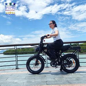 VOMO X80 PRO Fatbike X80 E BIKE FAST Bicicleta eléctrica de ciudad Bicicleta eléctrica de suspensión completa Bicicleta eléctrica Precio 20 pulgadas Fat Tire Ebike - Product Image 2