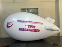 Ballon gonflable géant personnalisé en PVC pour affichage publicitaire et promotion en extérieur
