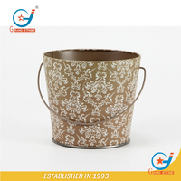Pot de fleurs en métal pour l'extérieur de 0,3 gallon pour fleurs et décoration de jardin
