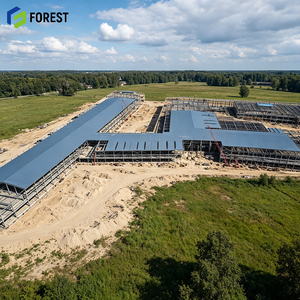 Structure en acier préfabriquée pour entrepôt et atelier, résistante aux tremblements de terre et aux intempéries, pour la construction agricole - Product Image 1