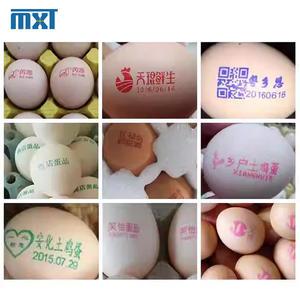 नया पूरी तरह से स्वचालित 6-प्रिंटर खाद्य स्याही अंडे का इंकजेट प्रिंटर समझदारी से पूरे ट्रे के अंडे की उत्पादन तिथि प्रिंट कर सकते हैं। - Product Image 5