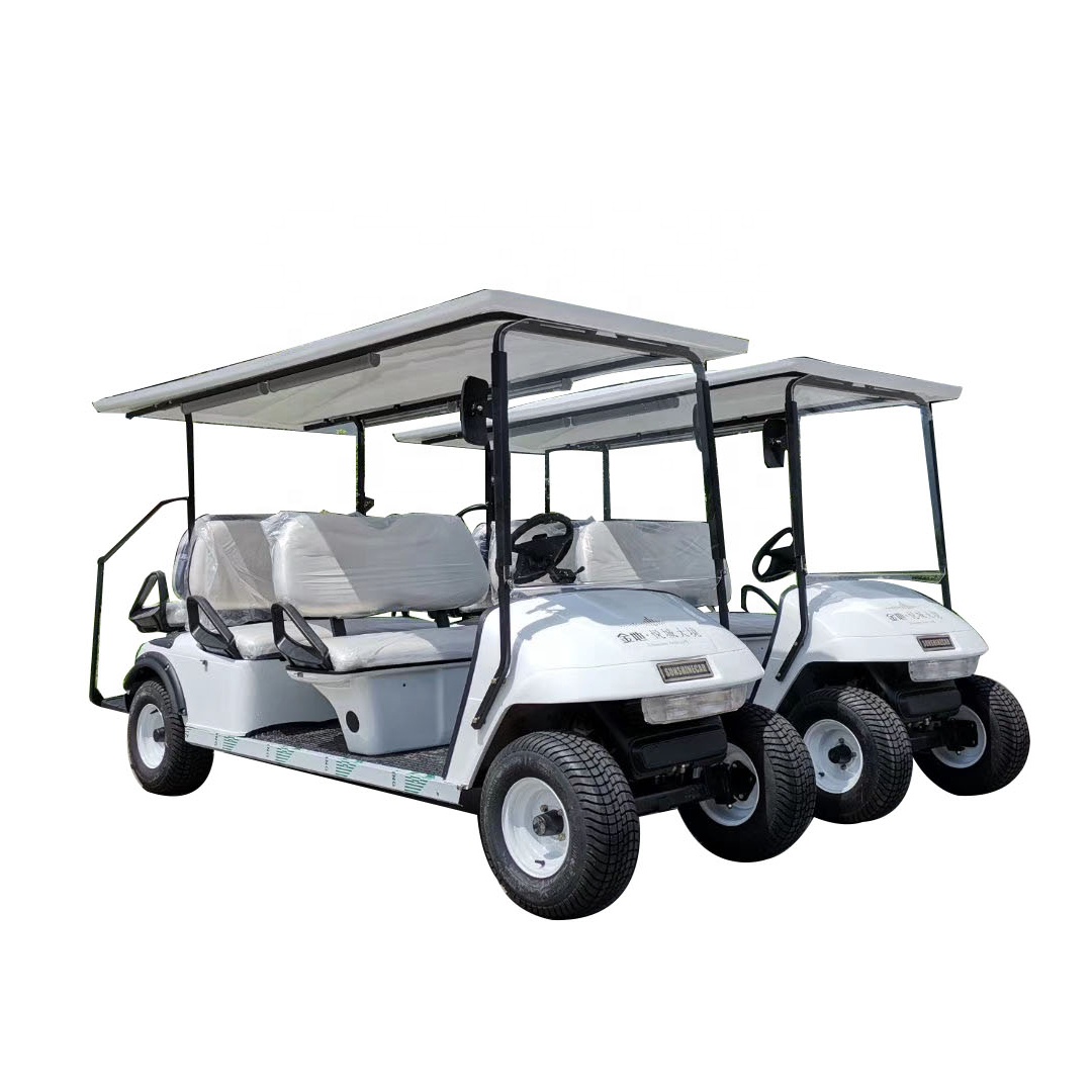 golf cart grocery and utility bolsa