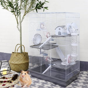 Vente en gros, <span class=keywords><strong>cage</strong></span> en plastique de luxe de 70cm, <span class=keywords><strong>4</strong></span> étages, fil bleu en métal, petit animal de compagnie, furet, <span class=keywords><strong>hamster</strong></span>, maison avec accessoires - Product Image 3